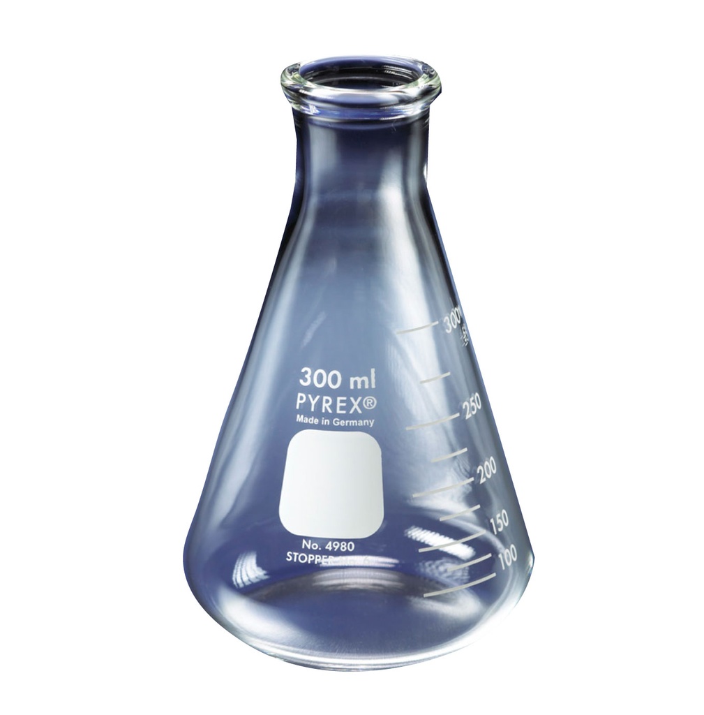 Erlenmeyer Graduado Pyrex