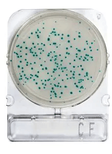 Placas para Determinación de Coliformes Fecales x 40 Compact Dry