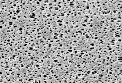 [15406047 N] Filtro Membrana de Poliestersulfona (PES) Sartorius