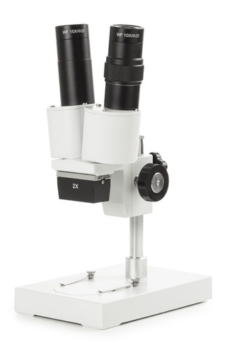 [50.890] Microscopio Binocular AP-1 Euromex - NOVEX