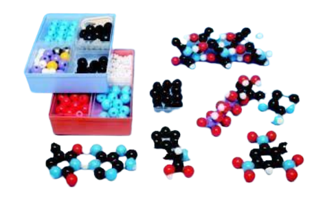 [ZON7896] Set para Profesores de Bioquímica