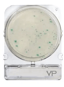 [ORO06749 P40] Placas para Determinación de Vibrio x 40 Compact Dry